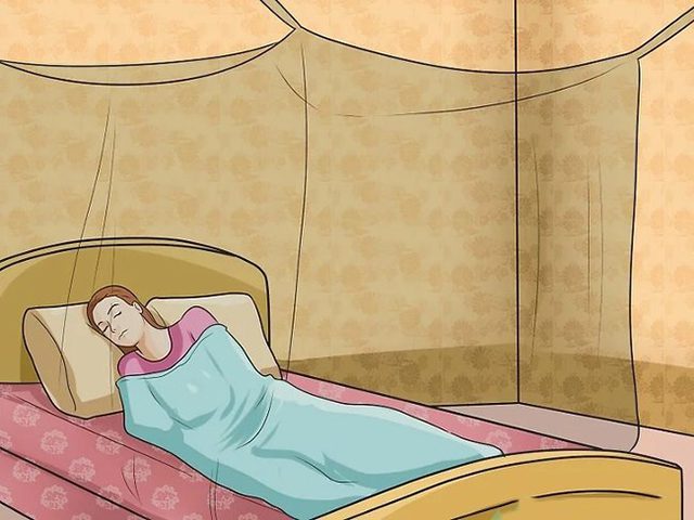 Tại sao nằm màn vẫn cần sử dụng thêm xịt muỗi? - Ecoair Việt Nam