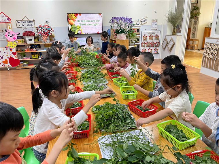 A group of children sitting at a table with baskets of plants
Description automatically generated