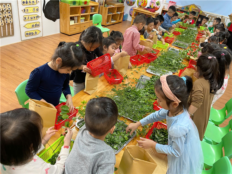 A group of children in a classroom
Description automatically generated