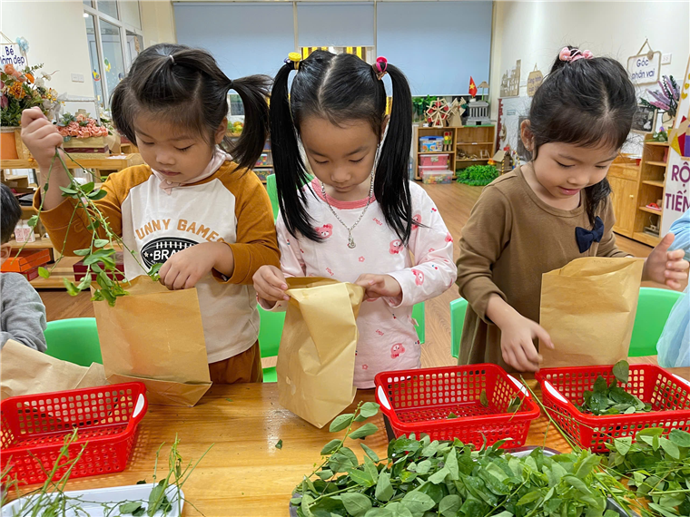 A group of girls in a classroom
Description automatically generated