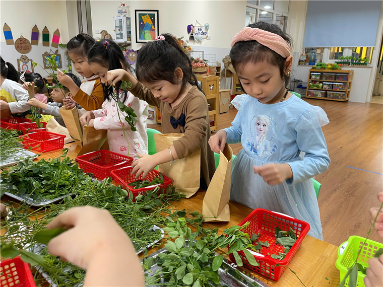 A group of children in a classroom
Description automatically generated