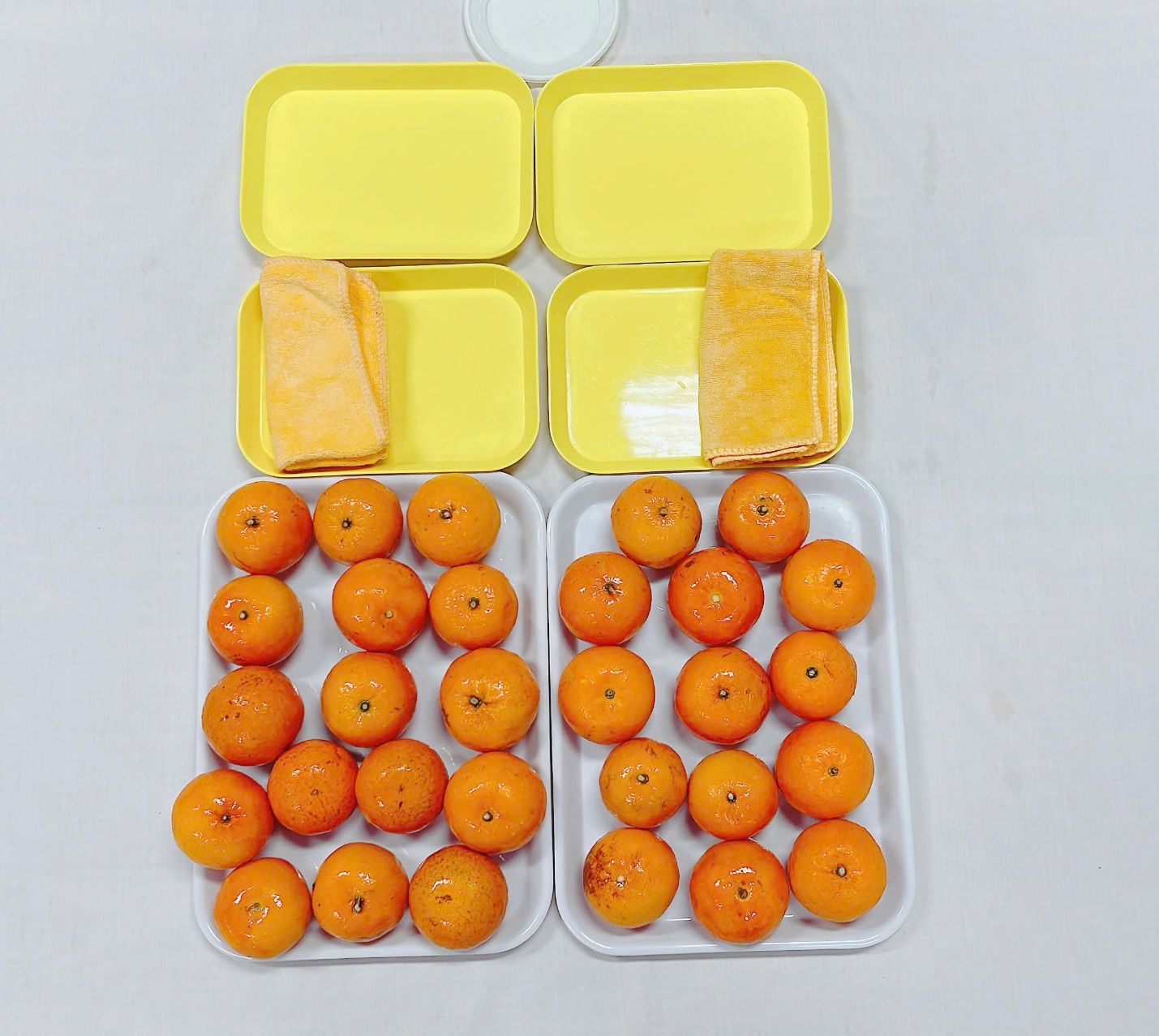 A trays of oranges and a sponge
Description automatically generated