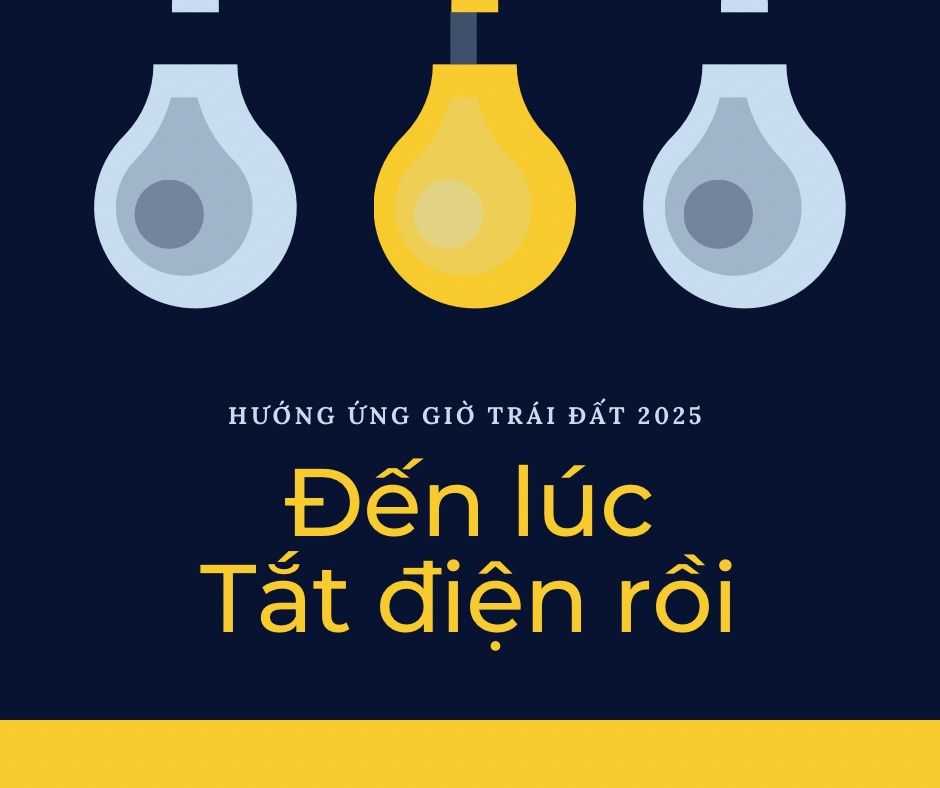 A blue and yellow cover with a group of light bulbs
Description automatically generated