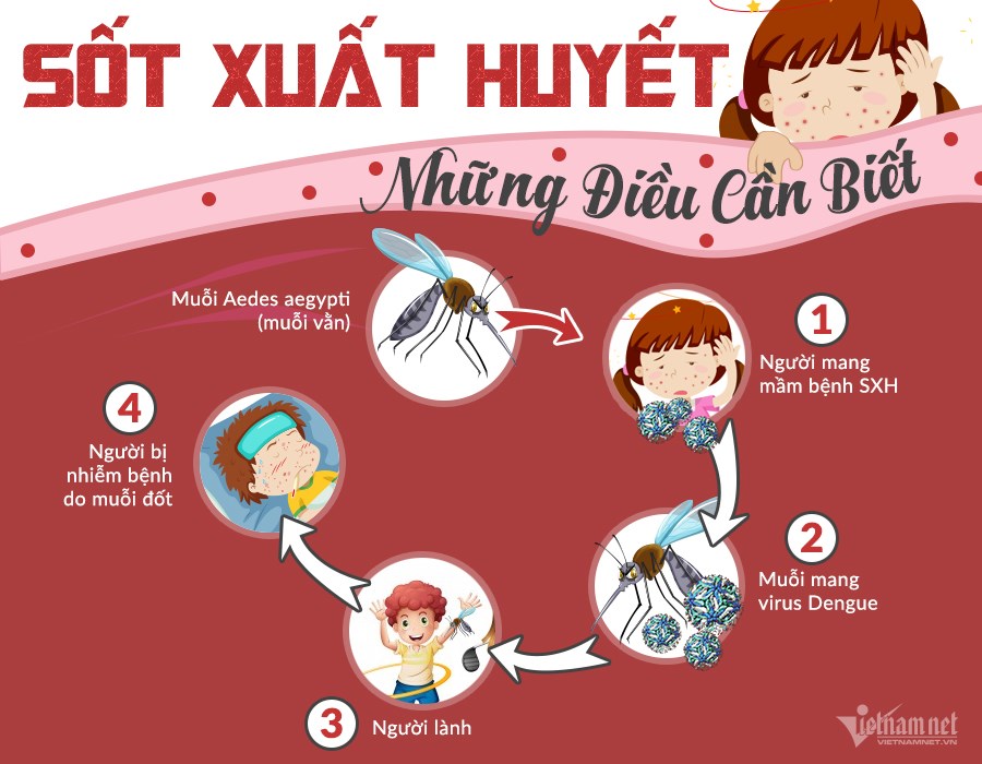 https://mnmailapcm.thainguyen.edu.vn/upload/48015/fck/bkn-chomoi-mnmailap/sot-xuat-huyet--nhung-dieu-moi-nguoi-nen-biet1.jpg
